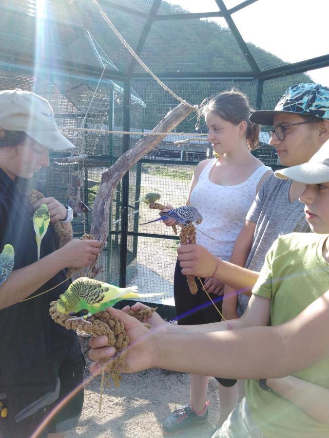 Parc Animalier Du Herisson Villa Doucier Ngoại thất bức ảnh