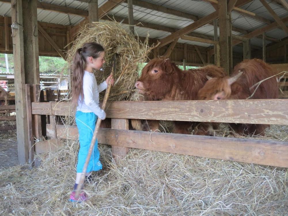 Parc Animalier Du Herisson Villa Doucier Ngoại thất bức ảnh